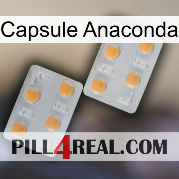 Anaconda Capsule 25.jpg